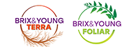 logo brix&young